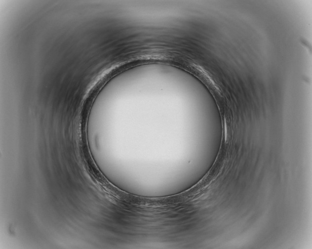 X0000099310531200805020734