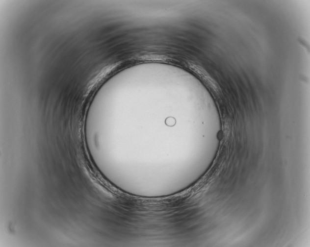 X0000099310533200805020734