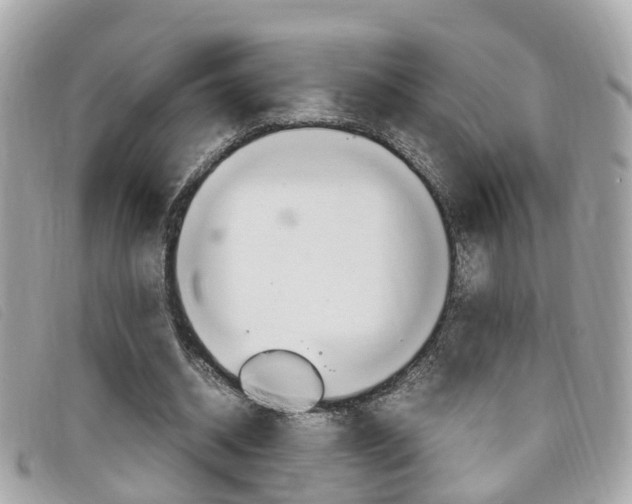 X0000099310534200805020734
