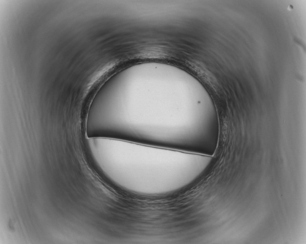 X0000099310535200805020734