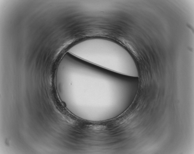 X0000099310539200805020734