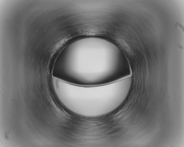 X0000099310540200805020734