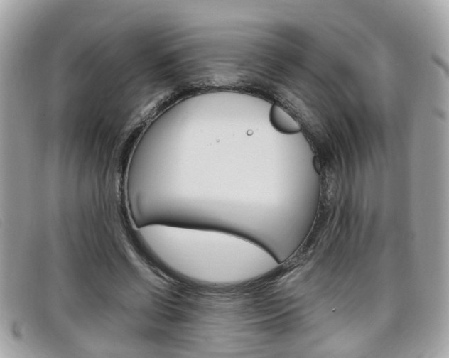 X0000099310542200805020734