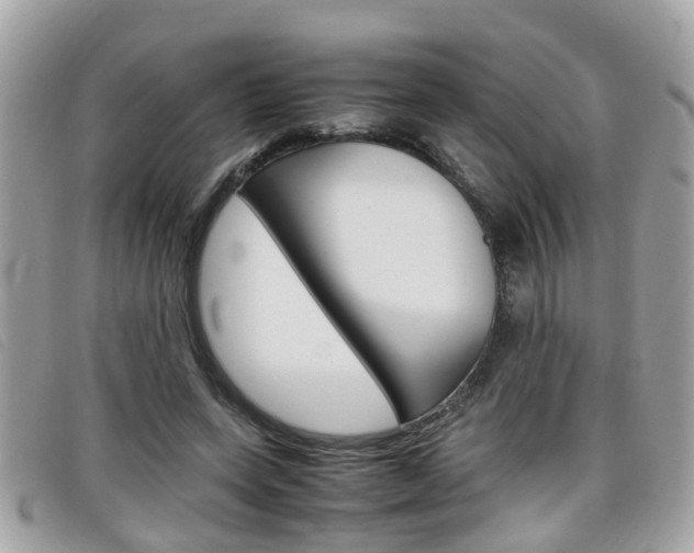 X0000099310543200805020734