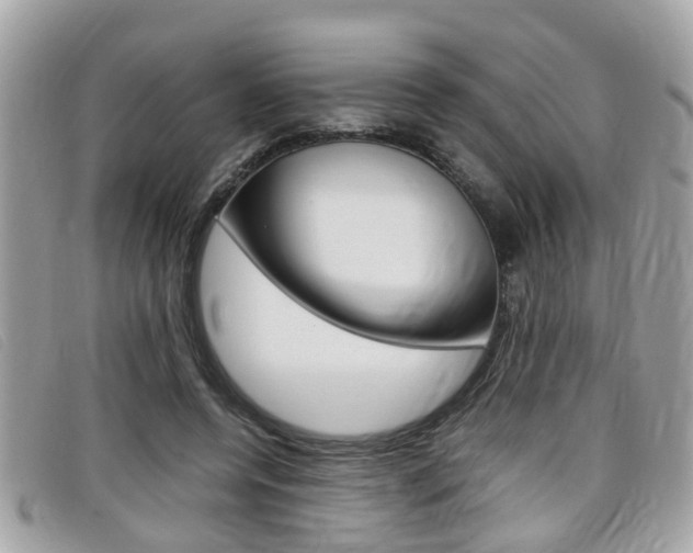 X0000099310544200805020734
