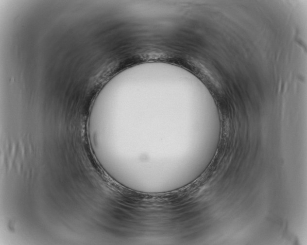 X0000099310545200805020734