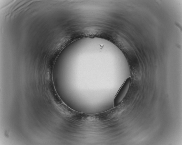 X0000099310546200805020734