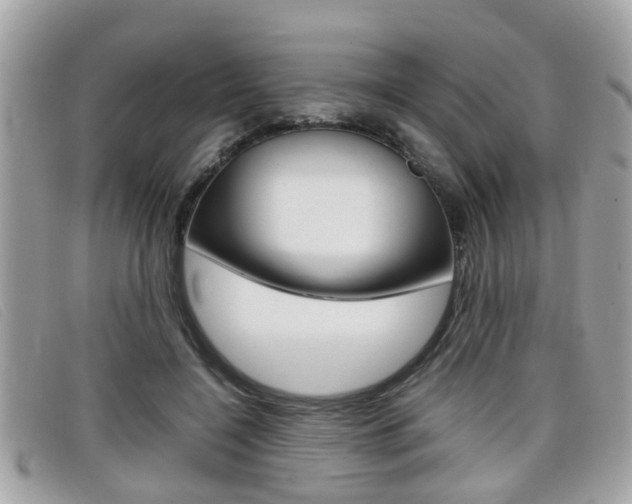 X0000099310548200805020734