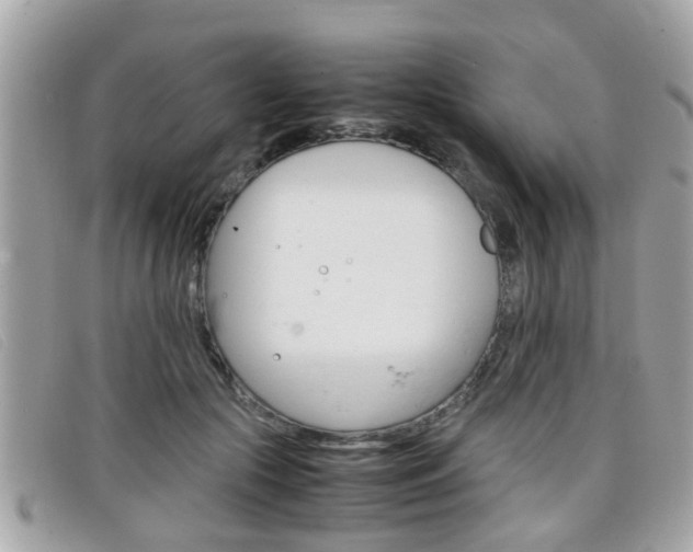 X0000099310553200805020734