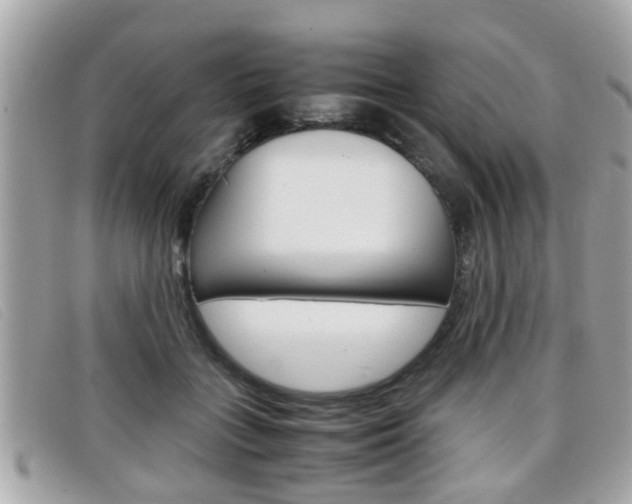 X0000099310555200805020734