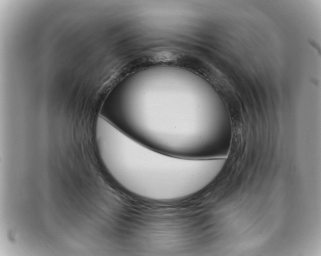 X0000099310556200805020734