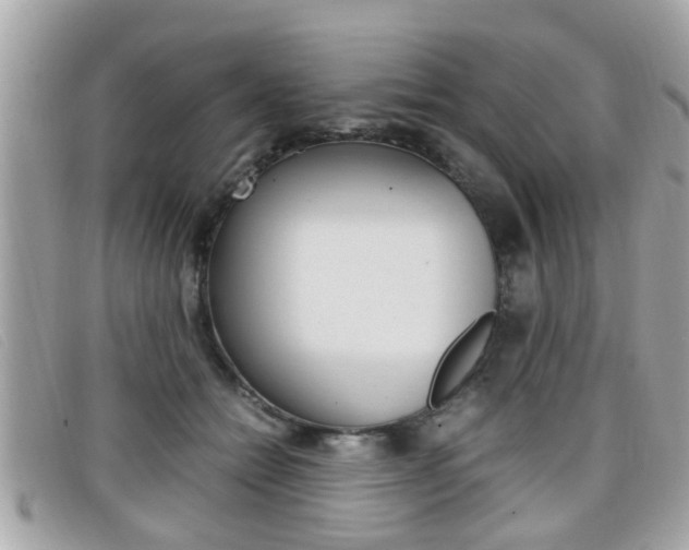 X0000099310558200805020734