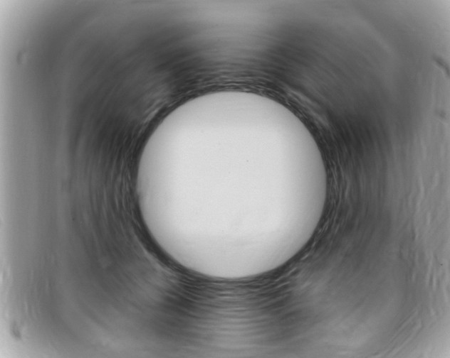 X0000099310560200805020734
