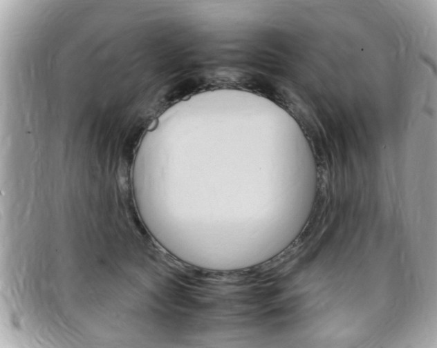 X0000099310561200805020734
