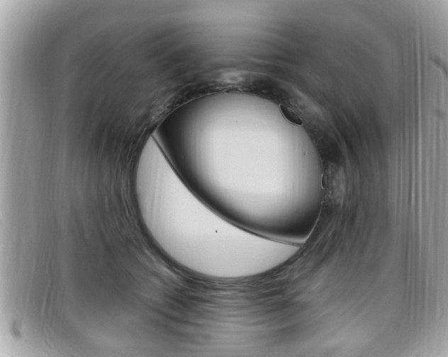 X0000099310562200805020734