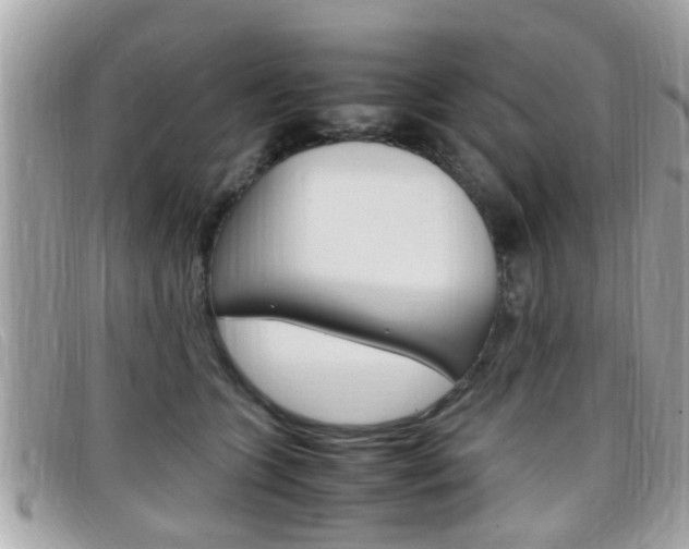 X0000099310563200805020734