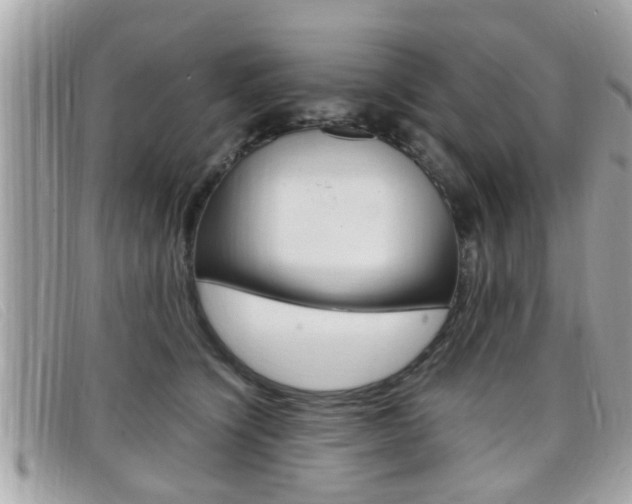 X0000099310564200805020734