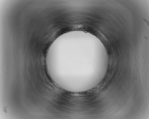 X0000099310565200805020734