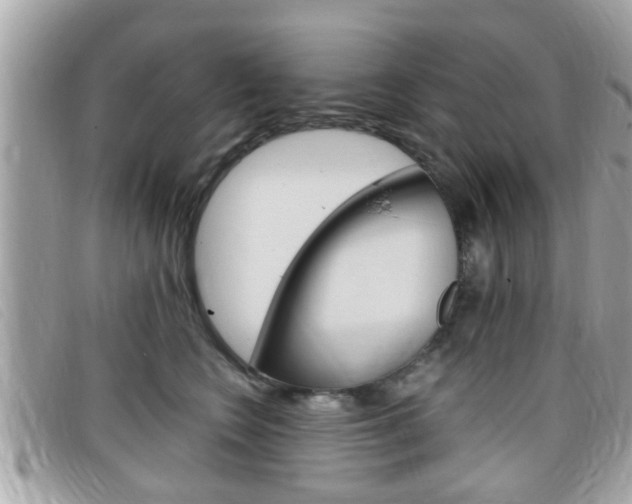 X0000099310566200805020734