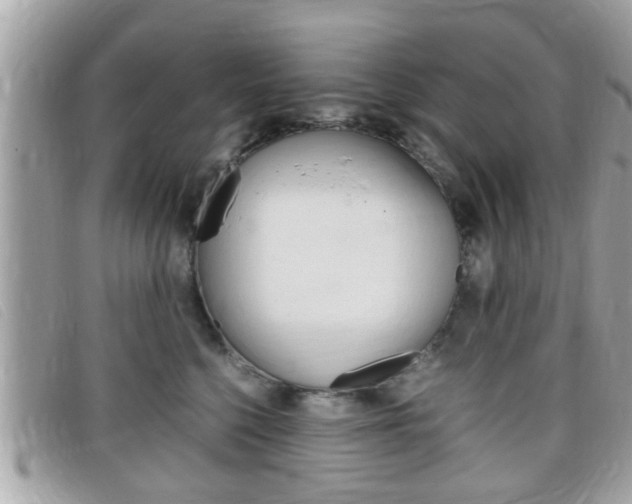 X0000099310568200805020734