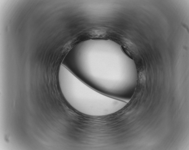 X0000099310570200805020734