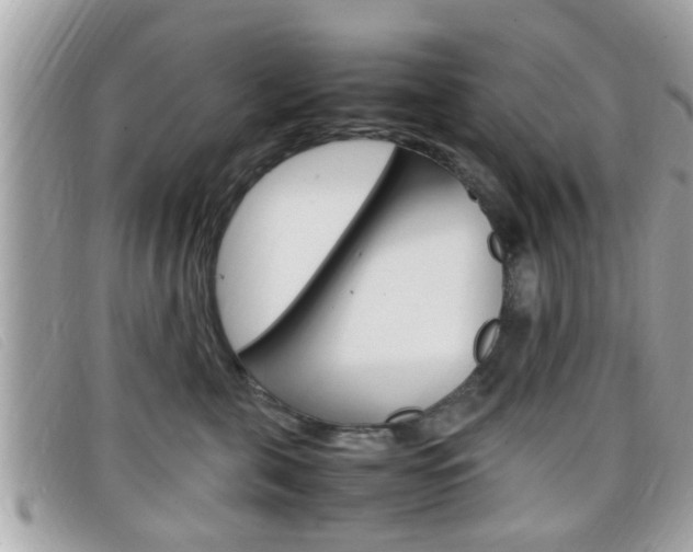 X0000099310571200805020734