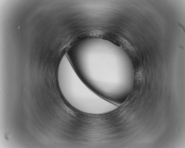 X0000099310572200805020734