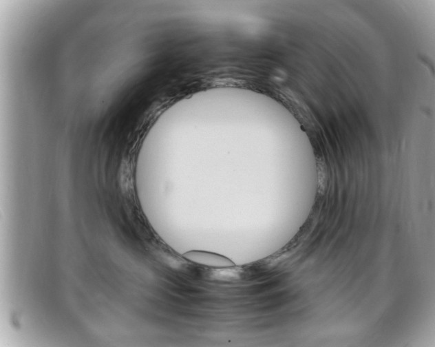 X0000099310573200805020734