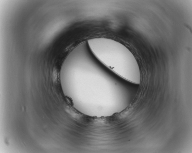 X0000099310574200805020734