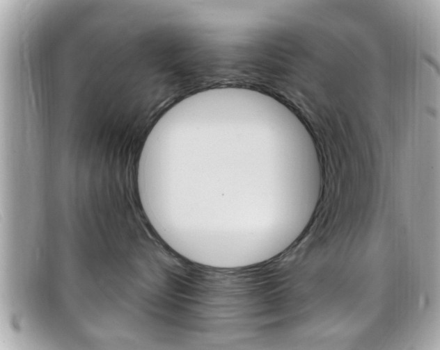 X0000099310576200805020734
