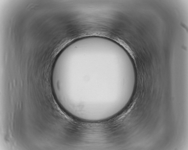 X0000099310577200805020734