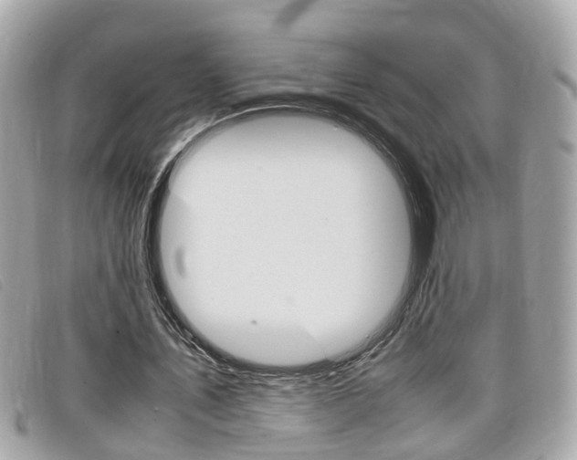 X0000099310579200805020734