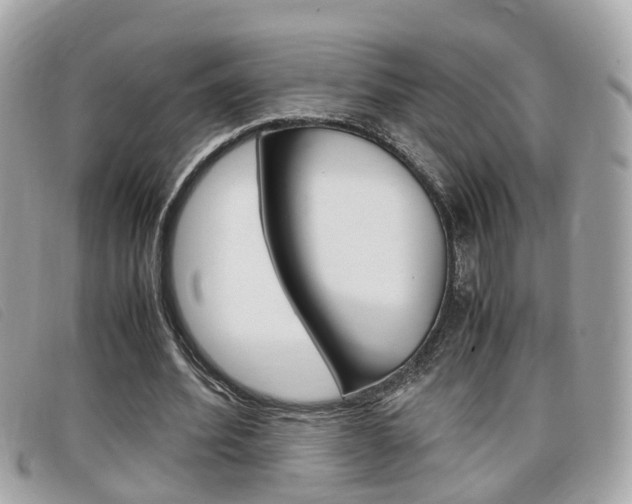 X0000099310580200805020734