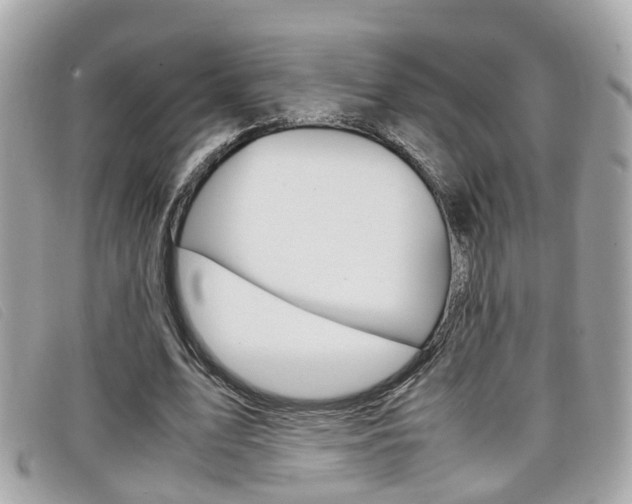 X0000099310583200805020734