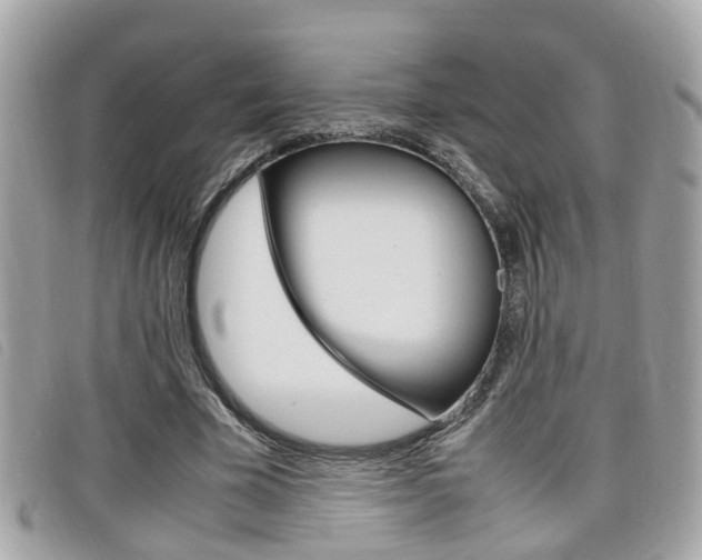 X0000099310585200805020734