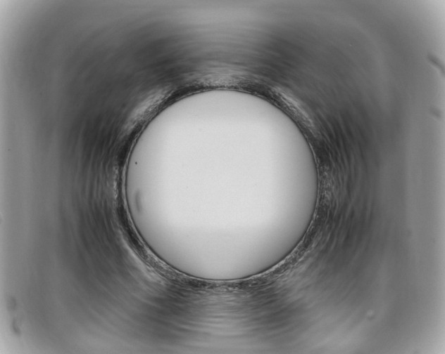 X0000099310586200805020734