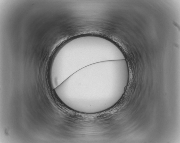 X0000099310587200805020734