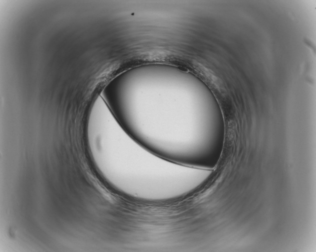 X0000099310589200805020734