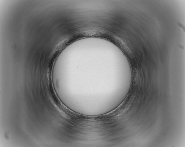 X0000099310590200805020734