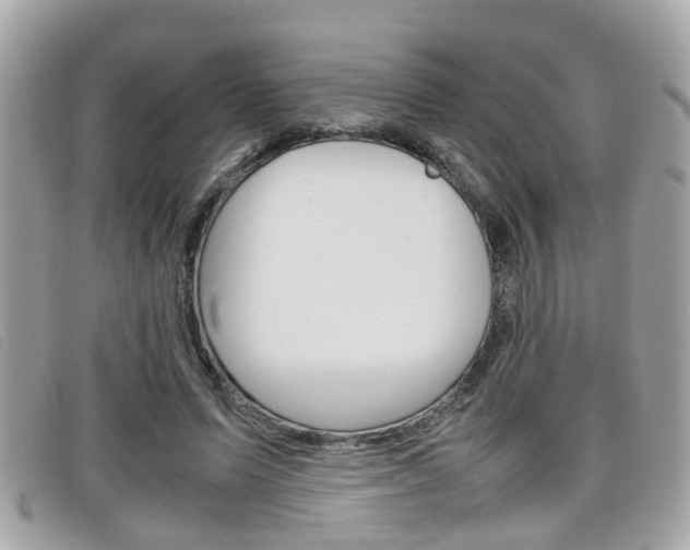 X0000099310591200805020734