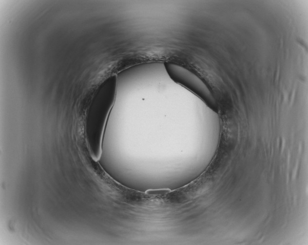 X0000099310593200805020734