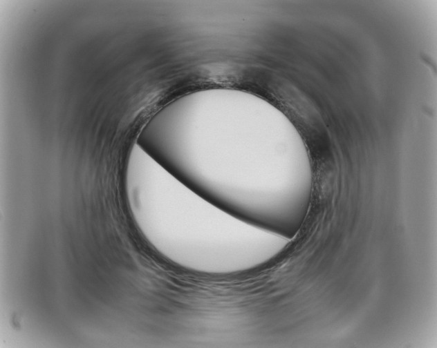 X0000099310595200805020733