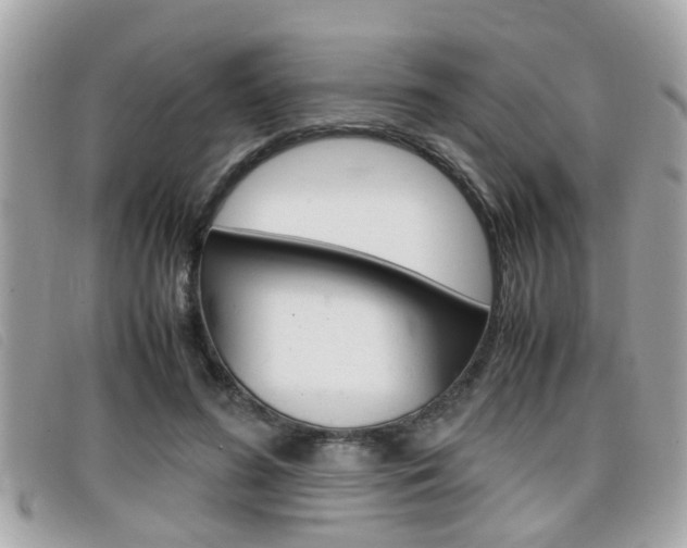 X0000099310596200805020733