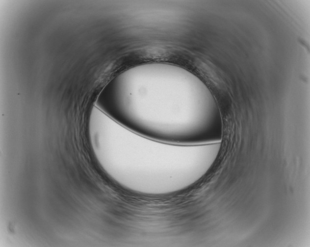 X0000099310597200805020733