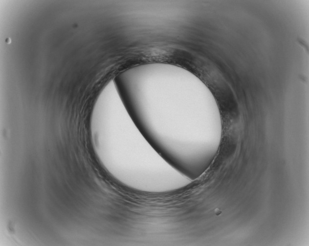 X0000099310599200805020733