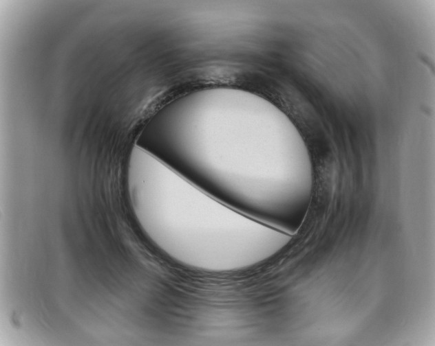 X0000099310600200805020733