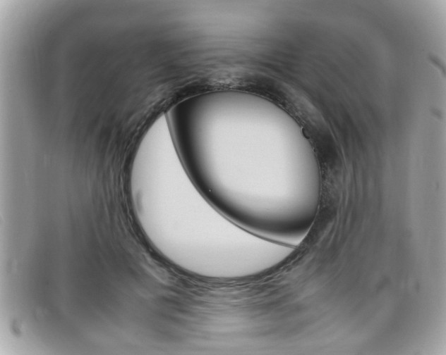 X0000099310601200805020733