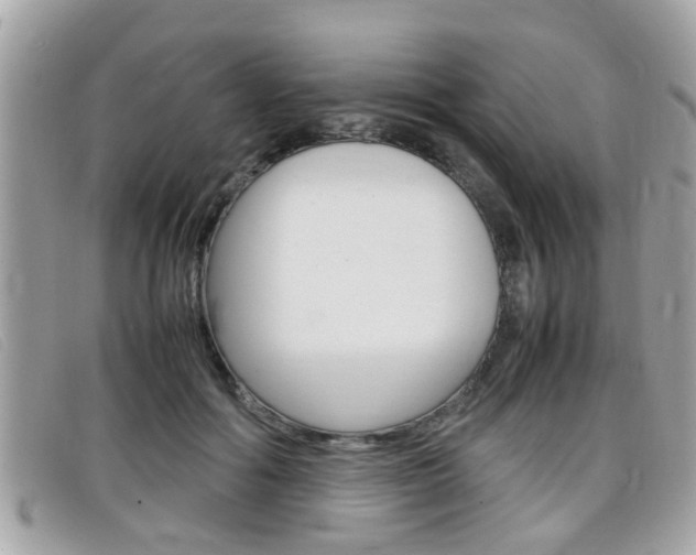 X0000099310602200805020733