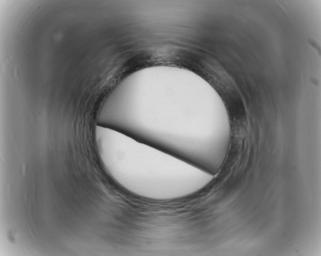 X0000099310603200805020733