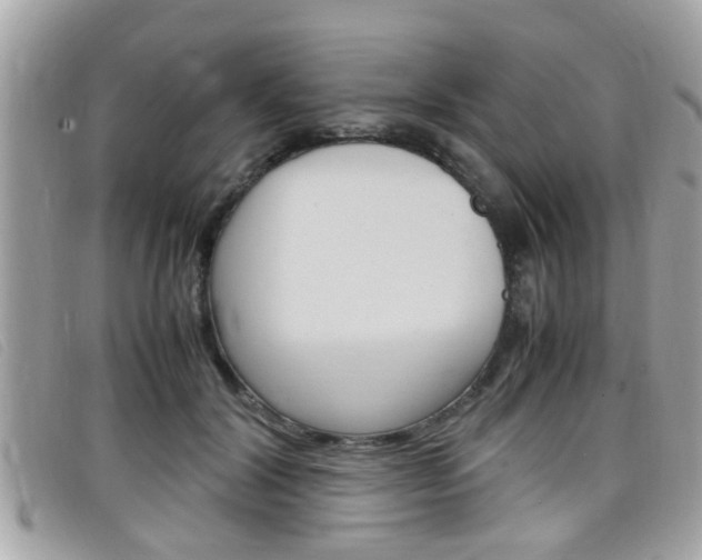 X0000099310604200805020733